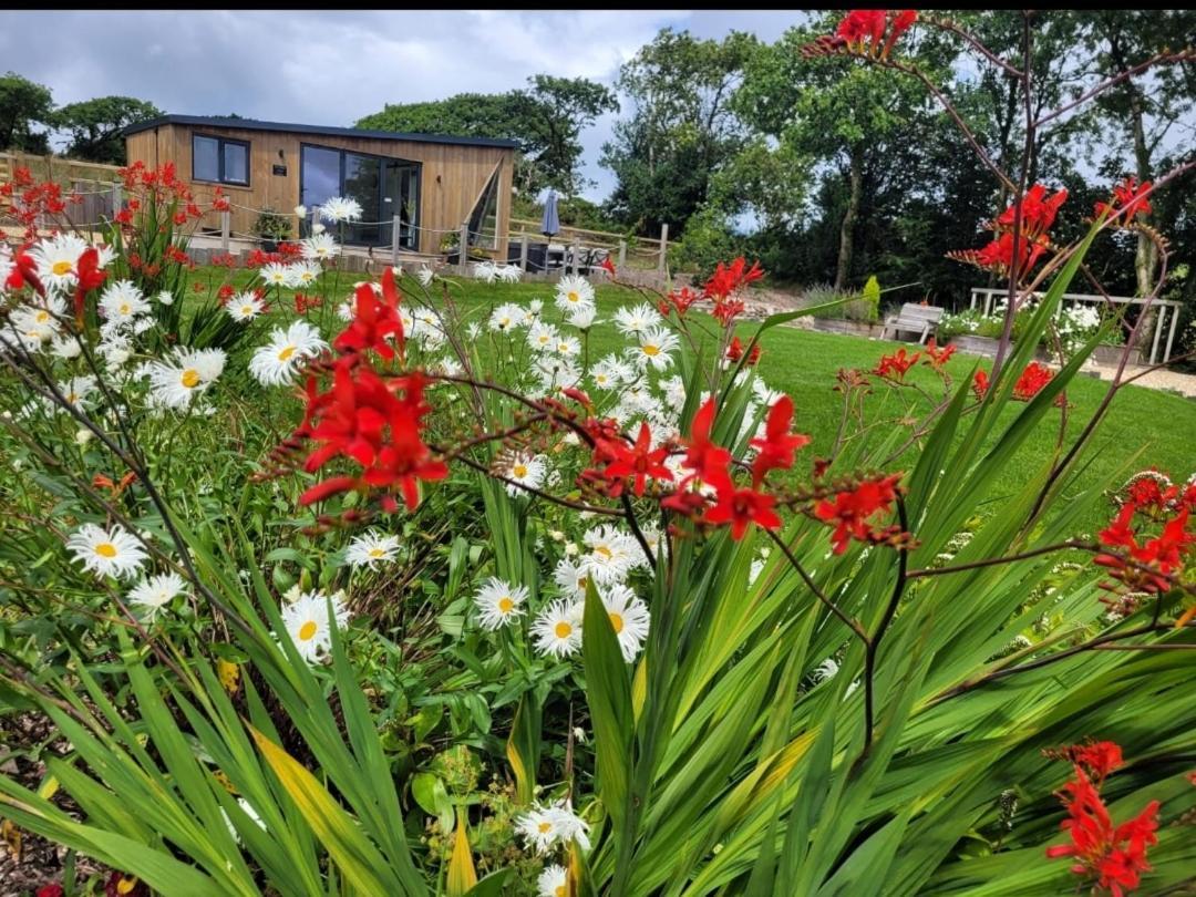 Brondini View Cabin  Dış mekan fotoğraf